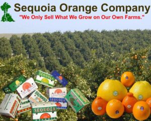 Sequoia Orange Company