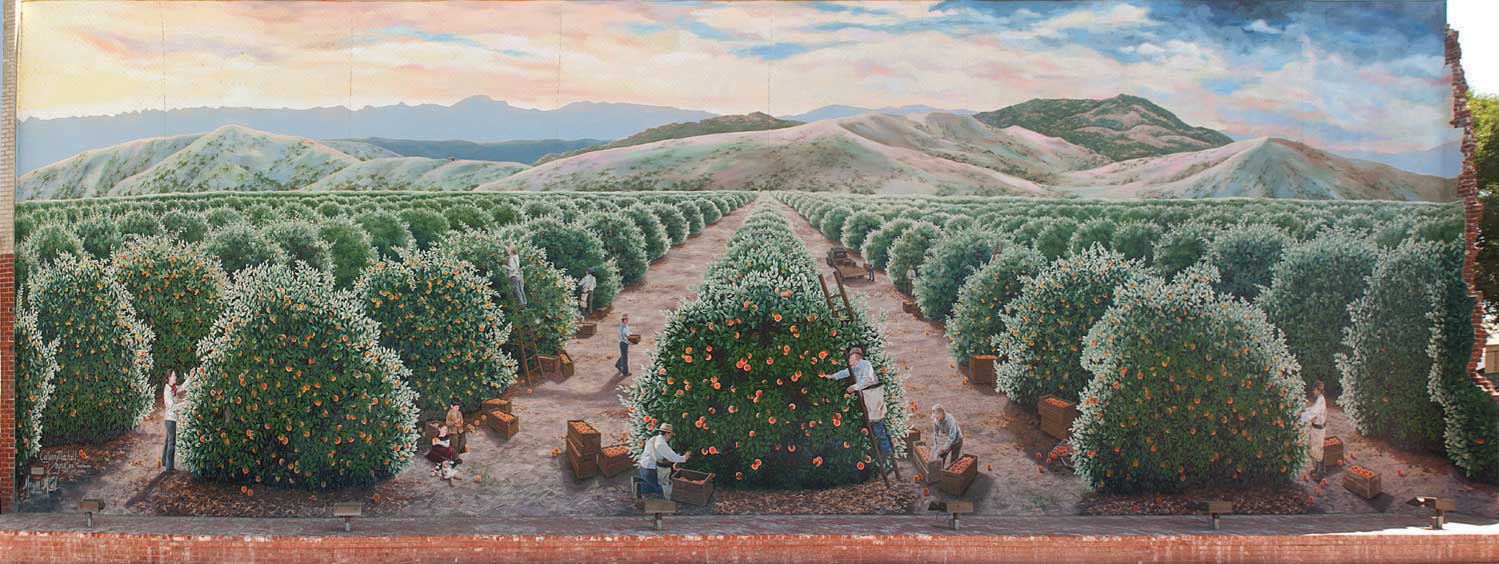 Orange Harvest Mural
