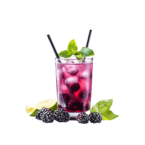 blackberry mojito